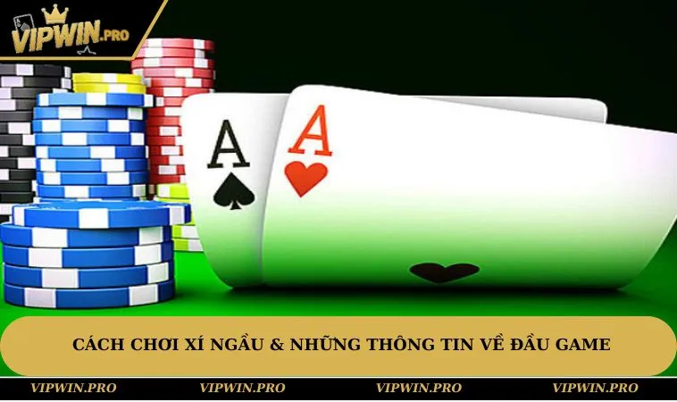Cách chơi xí ngầu & những thông tin về đầu game