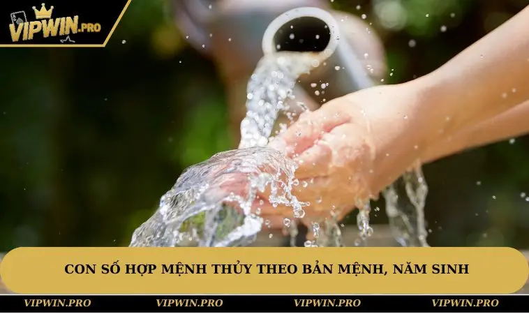 Con số hợp mệnh Thủy theo bản mệnh, năm sinh