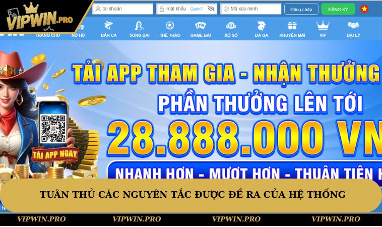 Tuân thủ các nguyên tắc được đề ra của hệ thống