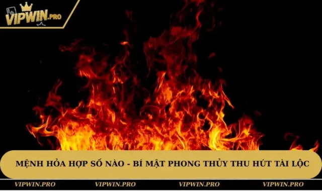 Mệnh Hỏa Hợp Số Nào - Bí Mật Phong Thủy Thu Hút Tài Lộc