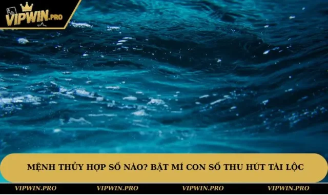 Mệnh Thủy Hợp Số Nào? Bật Mí Con Số Thu Hút Tài Lộc Năm 2025