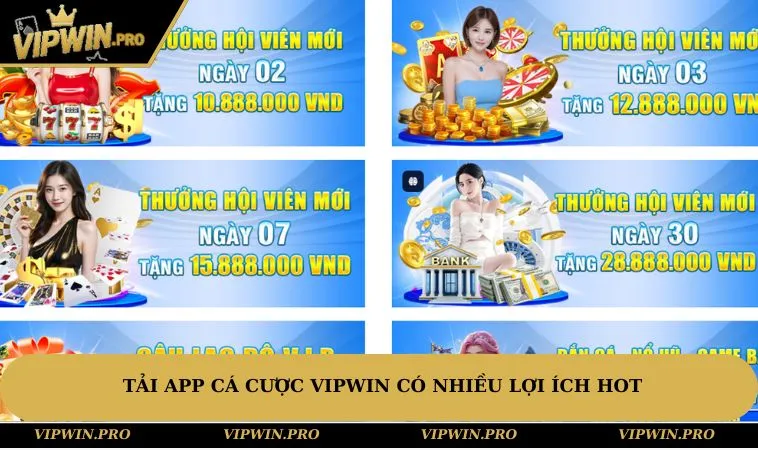 Tải app cá cược VIPWIN có nhiều lợi ích hot