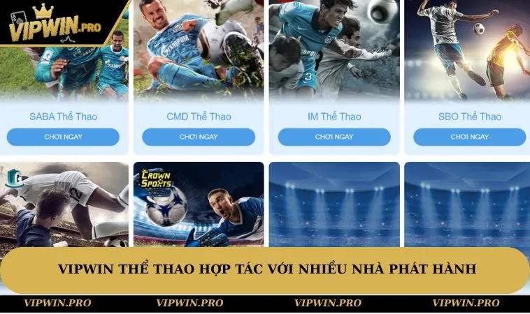 VIPWIN thể thao hợp tác với nhiều nhà phát hành